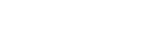 payac logo white