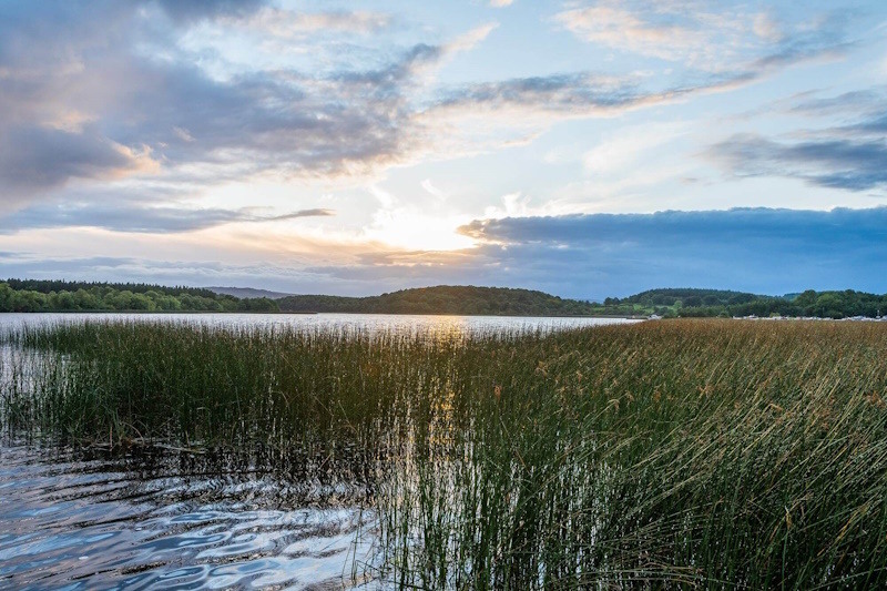 ProCloud - Lough Key Roscommon